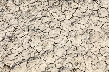 The texture of the ground with cracks. Dry cracked soil in hot summer day.