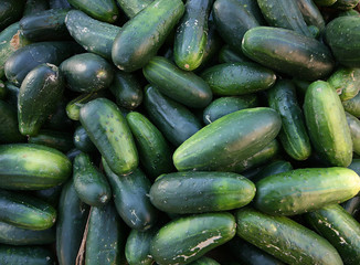 Vegetable on a green market in November