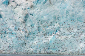Foto op Canvas Arctisch landschap © Alexey Seafarer