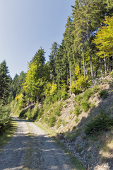 Fototapeta na wymiar Alpine road in Western Carinthia, Austria.