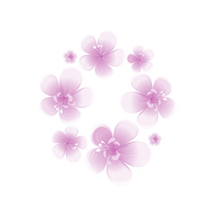 Purple Violet flowers isolated on white background. Apple-tree flowers. Cherry blossom. Vector