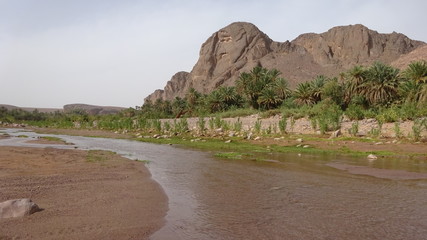 Oasis Ouarzazate Morocco