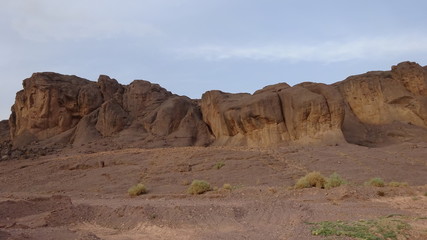 Oasis Ouarzazate Morocco