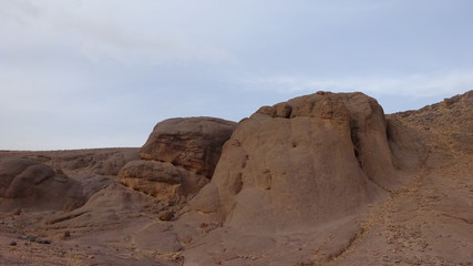 Fototapeta premium Oasis Ouarzazate Morocco