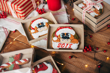 Christmas colorful gingerbread cookies. Bakery products