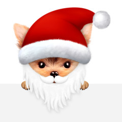 Funny Dog Santa with beard. Christmas concept