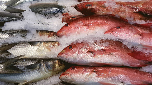 Close-up of a raw fish in market