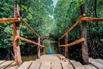 Jozani Forest, Zanzibar, Tanzania