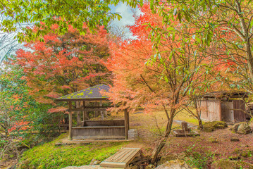 秋・古刹、渓谷竹谷山