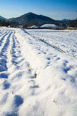 Fototapeta na wymiar Oeam village of Asan beautifully with white snow down.