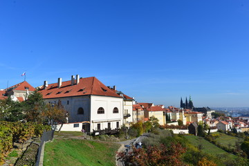 Fototapeta na wymiar Blick vom Petřín/Laurenziberg auf Prag
