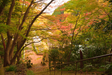 秋・古刹、渓谷