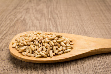 Oat cereal grain. Grains in wooden spoon. Rustic.
