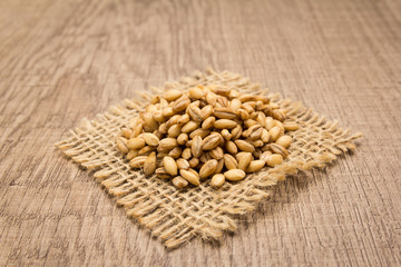 Barley cereal grain. Grains on square cutout of jute. Wooden table. Selective focus.