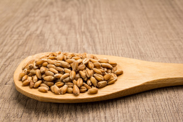 Wheat cereal grain. Grains in wooden spoon. Rustic.