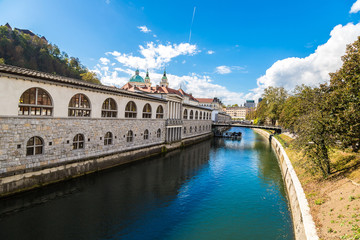Naklejka premium Ljubljana river