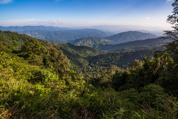 Fototapeta premium Mountains range view behind the mist of forest and tree, Northern of Thailand in Winter