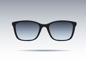 Sunglasses isolated. Vector Icons.