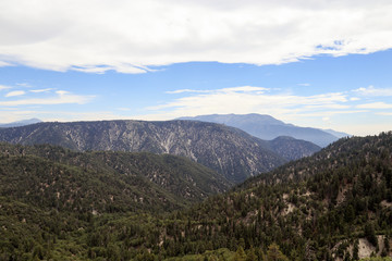 San Bernarnino National Forest