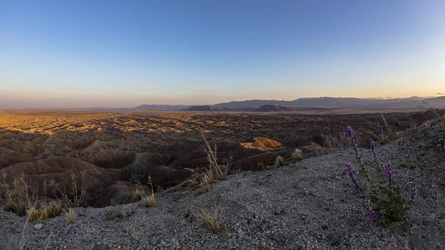 Timelapse of sunset, wildflowers, and badlands in  Anza-Borrego Desert State Park