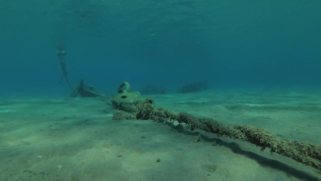 Underwater life of the port, Red sea, Marsa Alam, Abu Dabab, Egypt

