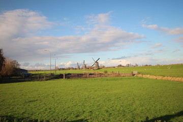 Fototapeta na wymiar Windmills of the wilsveen water system in the driemanspolder. Stompwijk, Netherlands