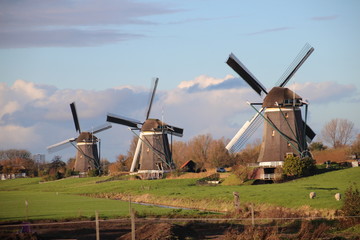 Naklejka premium Windmills of the wilsveen water system in the driemanspolder. Stompwijk, Netherlands