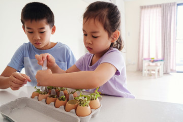 Mixed Asian children watering seedling plant in eggshells,, eco gardening,  montessori homeschool education, reuse concept