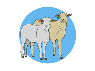 simple goat illustration
