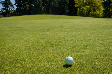 Golf ball on the golf green waiting to be hit into the hole, evergreen trees in the background
