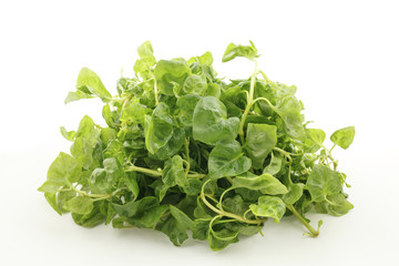 watercress on white background