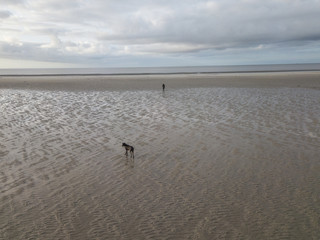 Best Friends © Ben.Photoholic