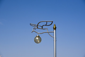 bird street light