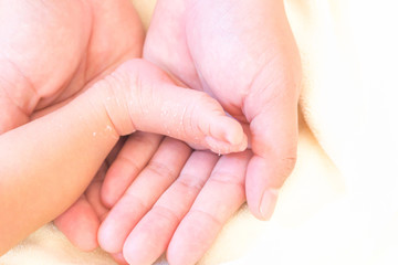Closeup legs of newborn with peeling skin on mother hands, health care and medical concept