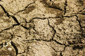 Close up dry and broken ground pattern texture background.