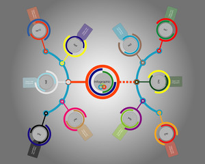 infographic template in vector