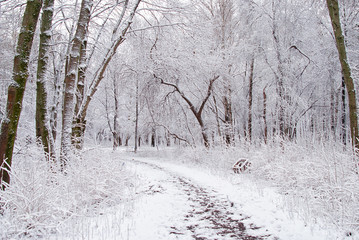 Snow trail in winter Park