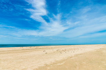 Fototapeta na wymiar Empty beach without people