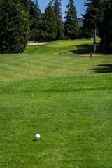 Golf ball and tee on the tee box and  fairway with the green, sand traps, trees and sky in the background
