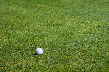 Close up of golf ball on the fairway grass
