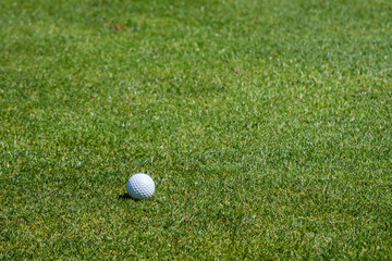 Close up of golf ball on the fairway grass
