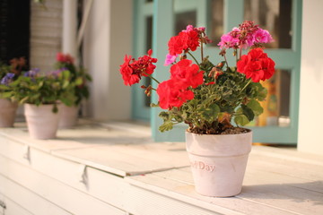 Terrace flowerpot