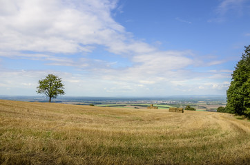 Plowed field with ready straw bales.