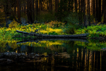 Yosemite Fall 2017