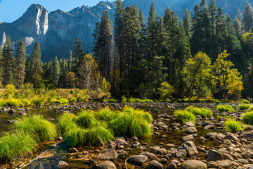 Yosemite Fall 2017