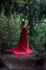 girl in the fir woods in long red dress look to the forest