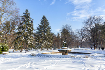 landscape with snow