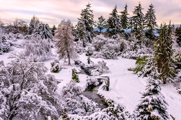 cold, beautiful, snowy winter