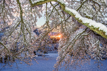 cold, beautiful, snowy winter