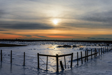 Fototapeta premium cold, beautiful, snowy winter